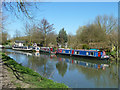 Moored boats, River Stort Navigation