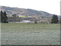 Pasture in Strath Tay