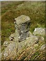 SO2631 : Old Boundary Marker above Capel-y-ffin, Crucorney Parish, The Black Mountains by Milestone Society