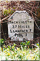 Old Milestone by the A458, east of Springview, Welshpool Parish