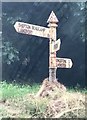 Old Direction Sign - Signpost by Green Road, Shepton Beauchamp