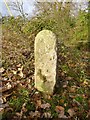 Old Boundary Marker by the B3079, Stock