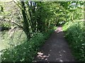 Kennet & Avon Canal Walk