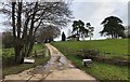 Brooklands Farm