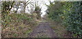 Old Lane at Stoner Hill