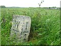 Old Milestone by the B7004, south of Whithorn