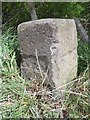 Old Milestone by the A933, Dalgety, Brechin Parish