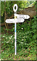 Old Direction Sign - Signpost by Kiln Lane, Buriton Parish