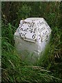 Old Milestone by the B940, Lochty, Carnbee Parish