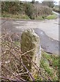 Old Boundary Marker by Batteridge Hill, Peter Tavy Parish