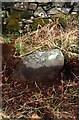 Old Milestone by the B709, south of Tushielaw, Ettrick Parish