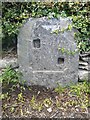 Old Milestone by the B4401, south of Llanderfel, Llandderfel Parish