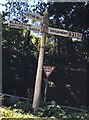 Old Direction Sign - Signpost by the B2131, Petworth Road, Haslemere Parish