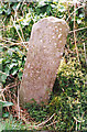 Old Milestone by the B4385, Rhos-fawr, Llanfair Caereinion Parish