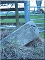 Old Milestone by the A76, Druid