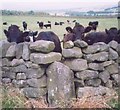 Old Waymarker Stone by Menwith Hill Road, Thornthwaite with Padside Parish