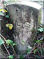 Old Boundary Marker by River Tame, Saddleworth Parish