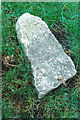 Old Boundary Marker near Ffynogion, off the A525, Ruthin Parish