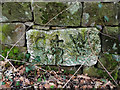 Old Boundary Marker by Hollins Lane, Edge Moor, Crich Parish