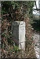 Old Guide Stoneby Honeywell Lane, Ilsington Parish