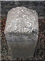 Old Milestone by the A40, Brecon Road, Llandovery Parish