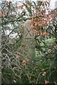 Old Milestone west of Badharlick Mill, Egloskerry Parish