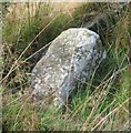 SE4889 : Old Boundary Marker on Pen Hill, Cowesby Parish by M Rayner