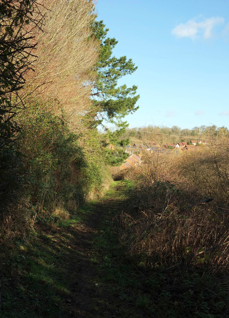 Path above The Willows