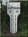 Old Milepost by the A458, Harley Parish