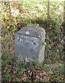 Old Milestone, B3092, Frome Road