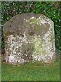 Old Milestone by the former A458, Wattlesborough, Westbury Parish