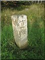 Old Milestone by the A68, in the parish of Rochester