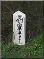 Old Milepost by the A22, Bentley Wood, East Hoathly Parish