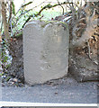 Old Milestone by the A3124, Castle Hill, Beaford Parish