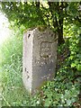 Old Boundary Marker by Sarum Road, Winchester Parish