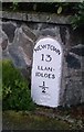 Old Milestone by Newtown Road, Llanidloes Parish