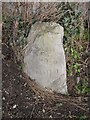 Old Milestone by the A485, Llanybydder Parish