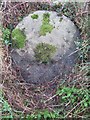 Old Milestone by the A489, south of Cwm Bromley, Kerry Parish