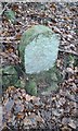 Old Boundary Marker by the Rochdale Canal, Erringden parish