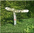 Old Direction Sign - Signpost by Dores Lane, Hursley Parish