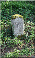 Old Milestone by Webberton Cross, Dunchideock