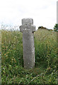SX6794 : Old Wayside Cross by Ring Hill, South Tawton Parish by Alan Rosevear