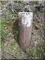 Old Milestone by the A841, Kilmory Parish, Arran