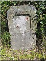 Old Milestone by the B4401, Coed Bodweni, Cynwyd Parish