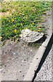 Old Milestone by the A548, Tanlan, Llanasa Parish