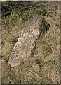 SU2252 : Old Milestone by the A342, Hougoumont Farm, Collingbourne Ducis by M Faherty