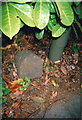 Old Boundary Marker by the B3002, Headley Road, Grayshott