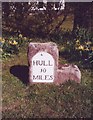 Old Milestone and mounting block, Riplingham Lodge, South Cave