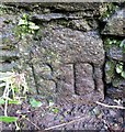 Old Boundary Marker by Kingsbridge Hill, Totnes