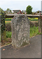 Old Milestone by the B3181, West Clyst, East Devon